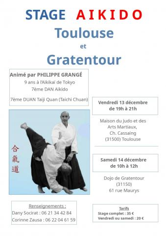 Espace aikido toulouse socirat dany