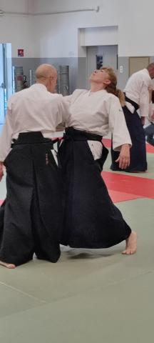 Espace aikido toulouse socirat dany